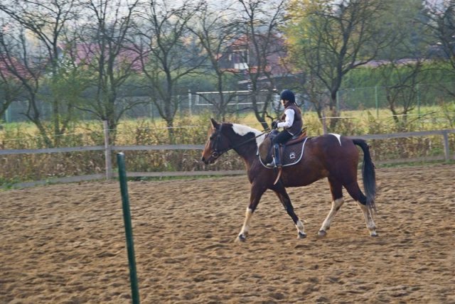 Hubertus 2009